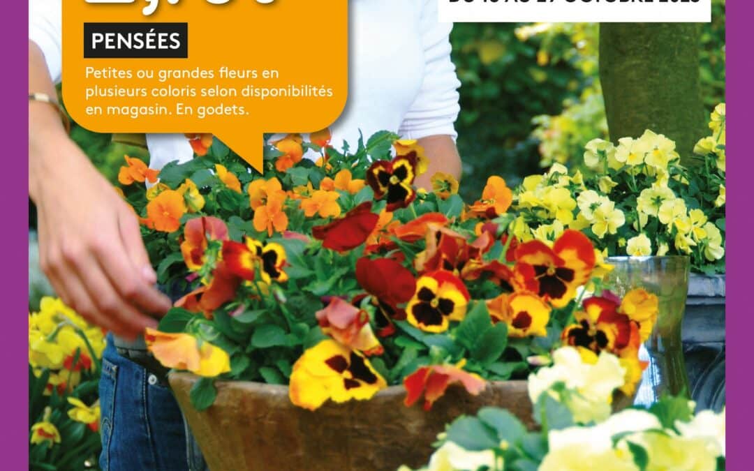 Les plantations d’automne