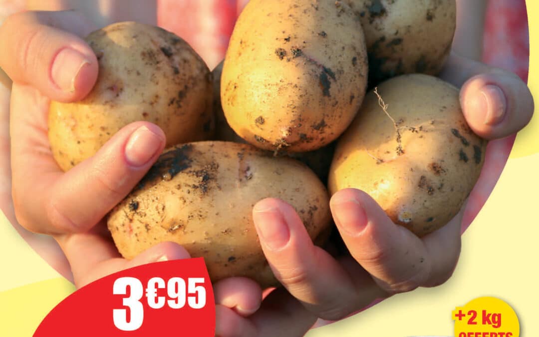 Les promotions potager France Rurale