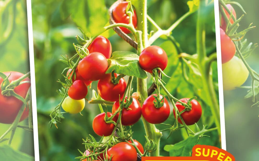 Avril au potager et au Jardin avec France Rurale