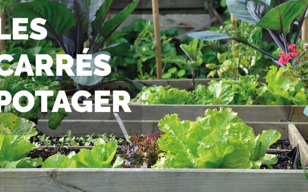 Adoptez le carré potager pour cultiver facilement vos légumes