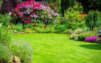 Comment entretenir sa pelouse : conseils simples pour un gazon parfait