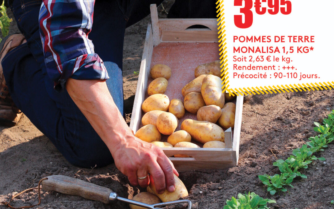 Les promotions potager France Rurale