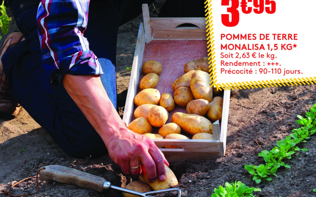 Les promotions potager France Rurale