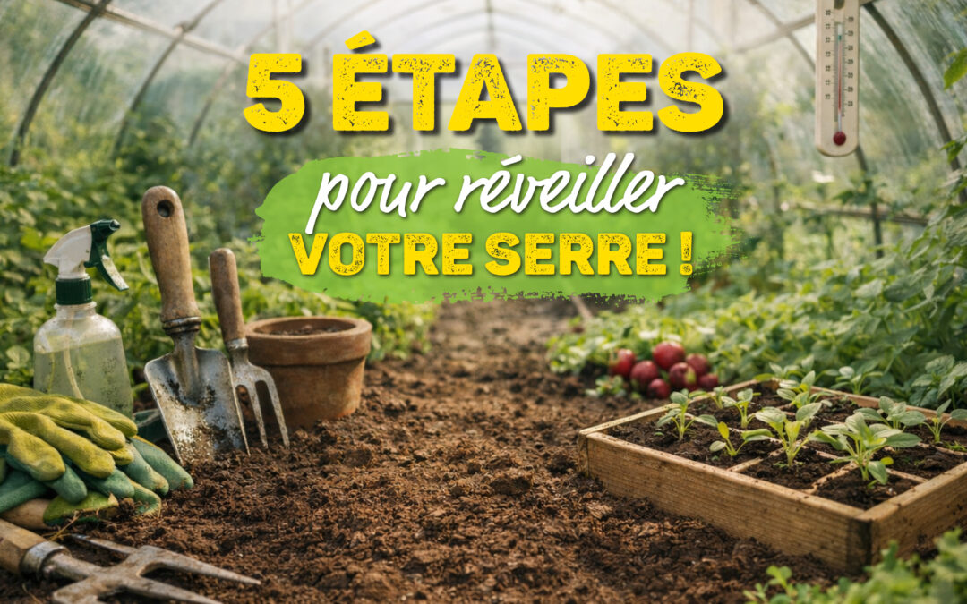 Préparer sa serre au printemps : les bons gestes pour réussir ses cultures